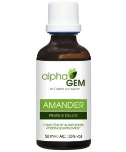 Amandier (prunus dulcis) bourgeon BIO, 50 ml